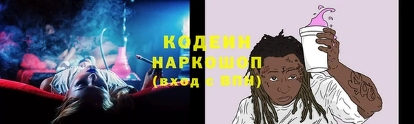 сатива Няндома