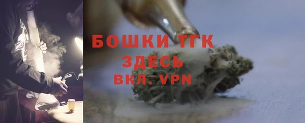мдпв Осинники