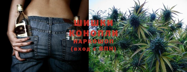 мдпв Осинники