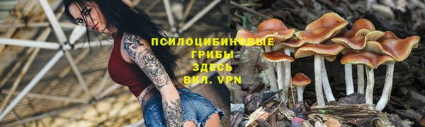 a pvp Осташков