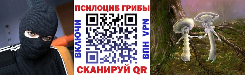 Псилоцибиновые грибы Psilocybine cubensis  Татарск 