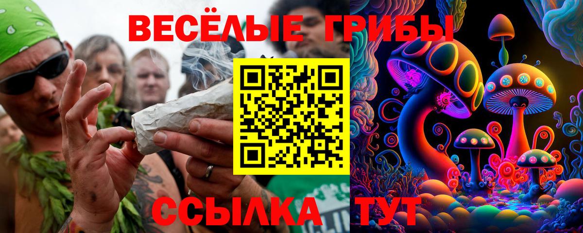 Галлюциногенные грибы MAGIC MUSHROOMS Татарск