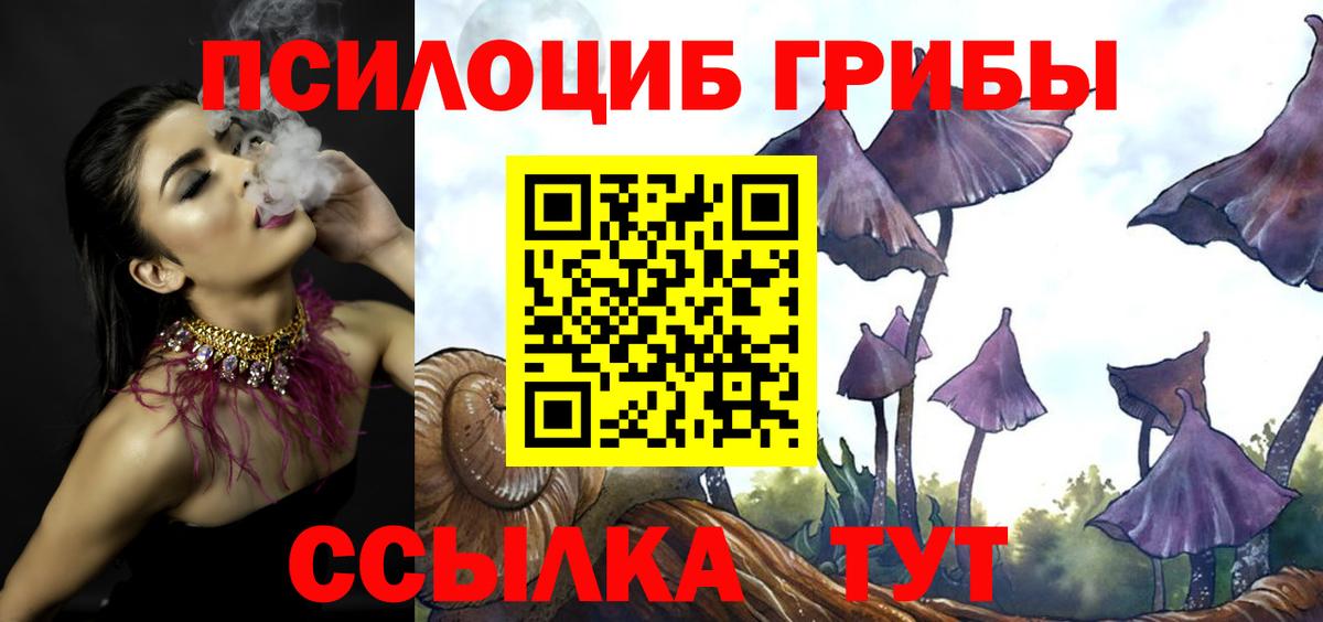 Псилоцибиновые грибы Psilocybe  Псилоцибиновые грибы ЛСД  Татарск  Вход с VPN 